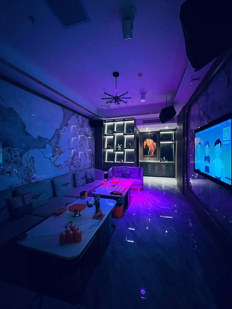 上海商务KTV总排行-普陀区ktv预定